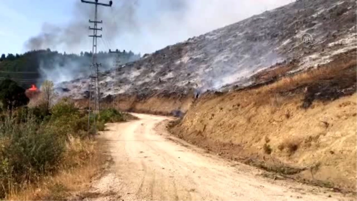 Kahramanmaraş\'taki orman yangını sürüyor