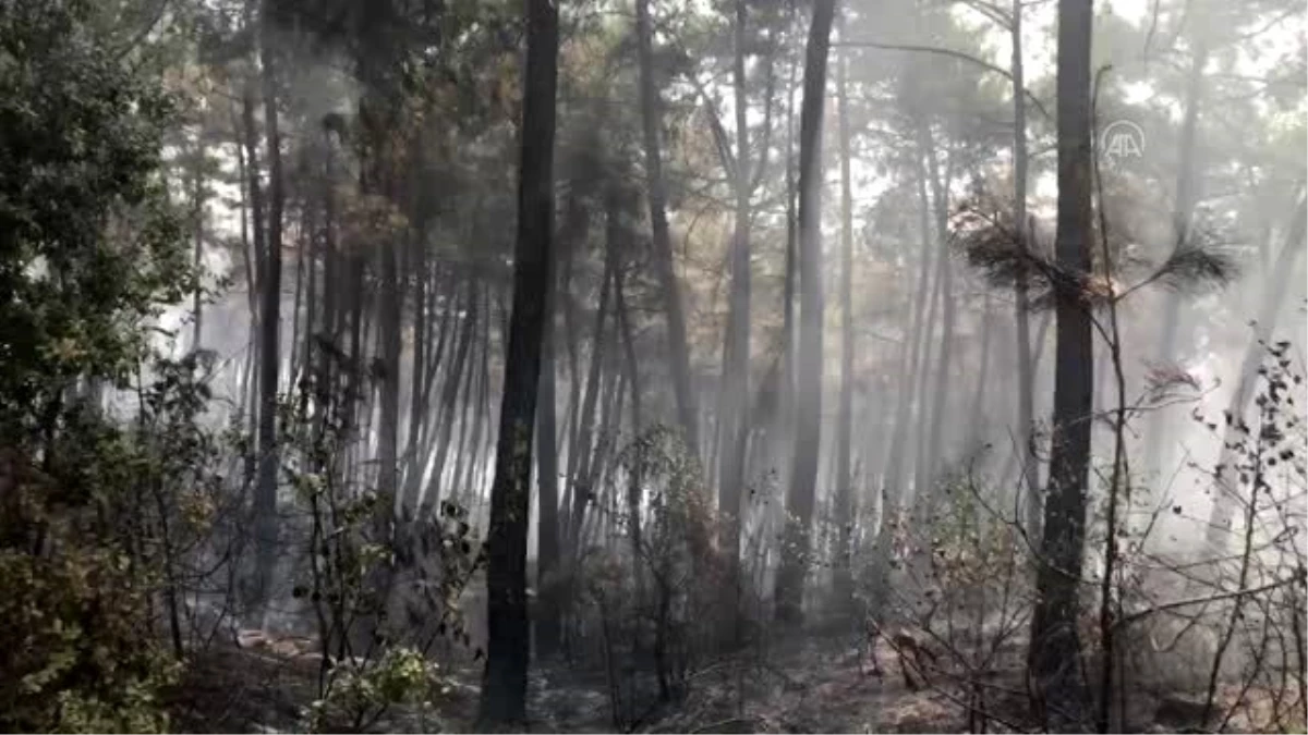 Son dakika: Kahramanmaraş\'taki orman yangını sürüyor