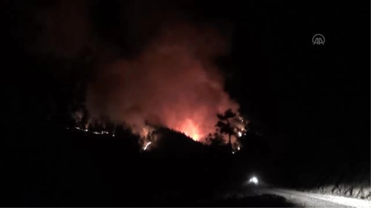 Kahramanmaraş\'taki orman yangınına müdahale sürüyor