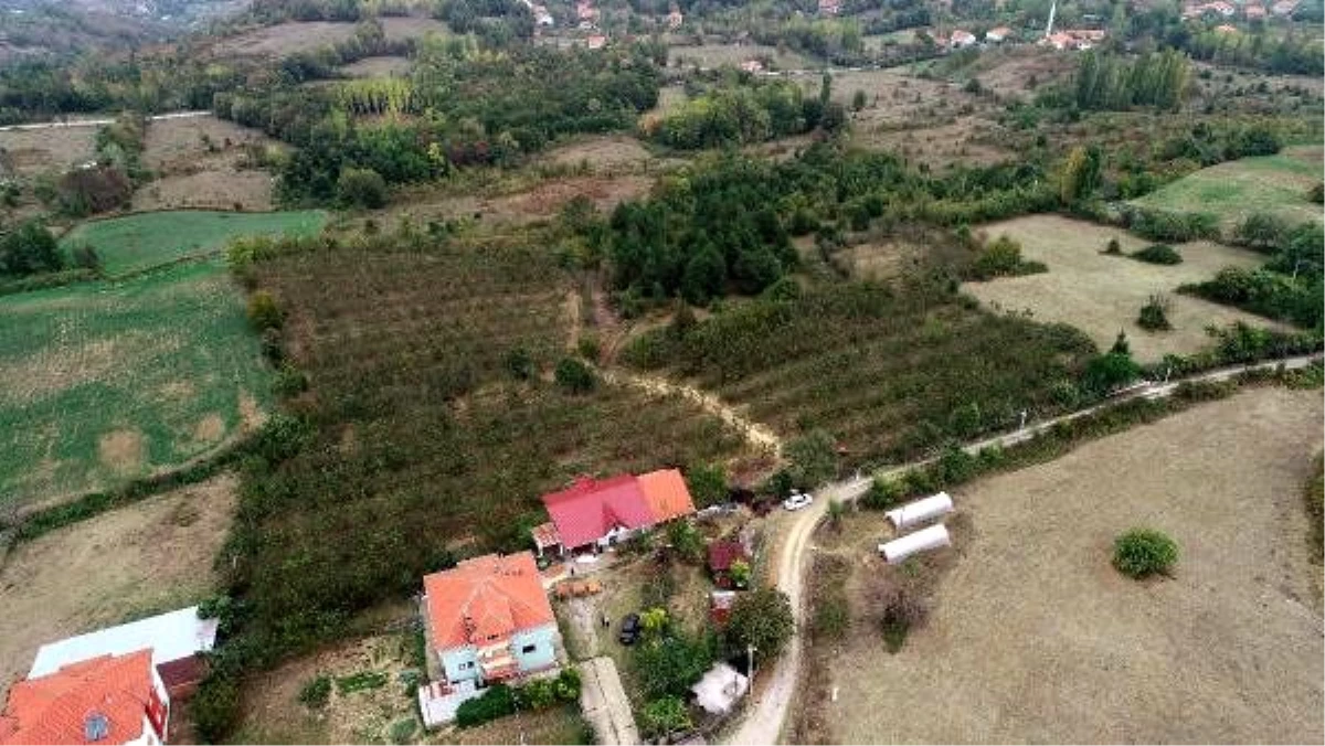 Kurduğu ceviz bahçesiyle köylü kadınlara istihdam sağladı