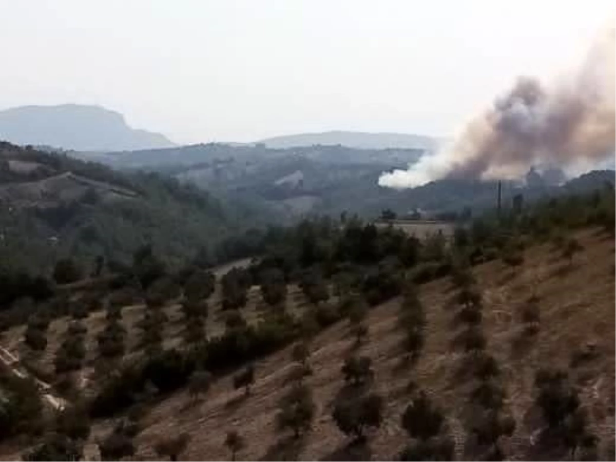 Son dakika haberi! Osmaniye\'de orman yangını çıktı, alevler evlere de sıçradı