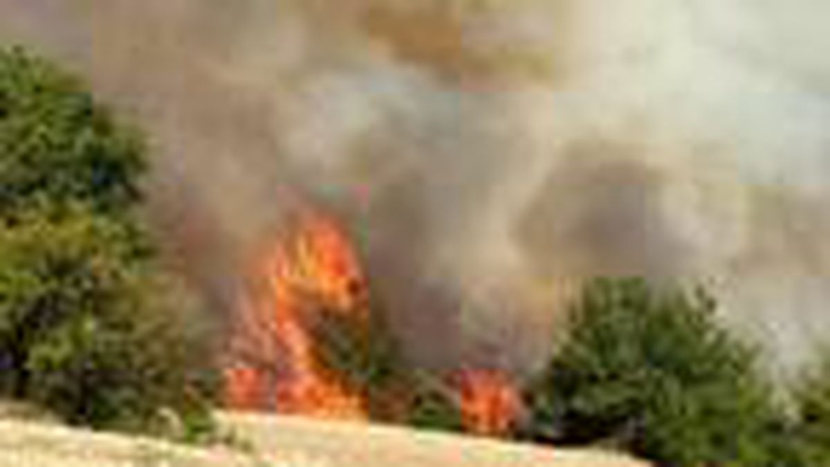 Son dakika gündem: Osmaniye\'de ormanlık alanda yangın; alevler evlere de sıçradı