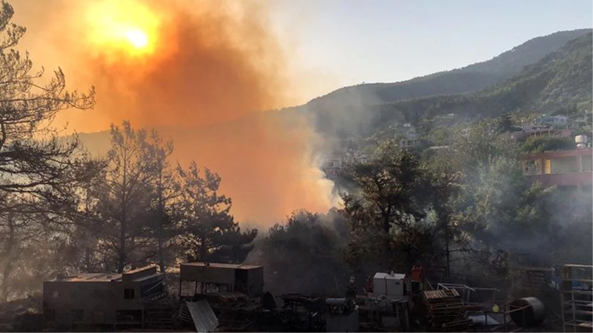 Son Dakika: Hatay\'daki orman yangınları tam olarak kontrol altına alındı