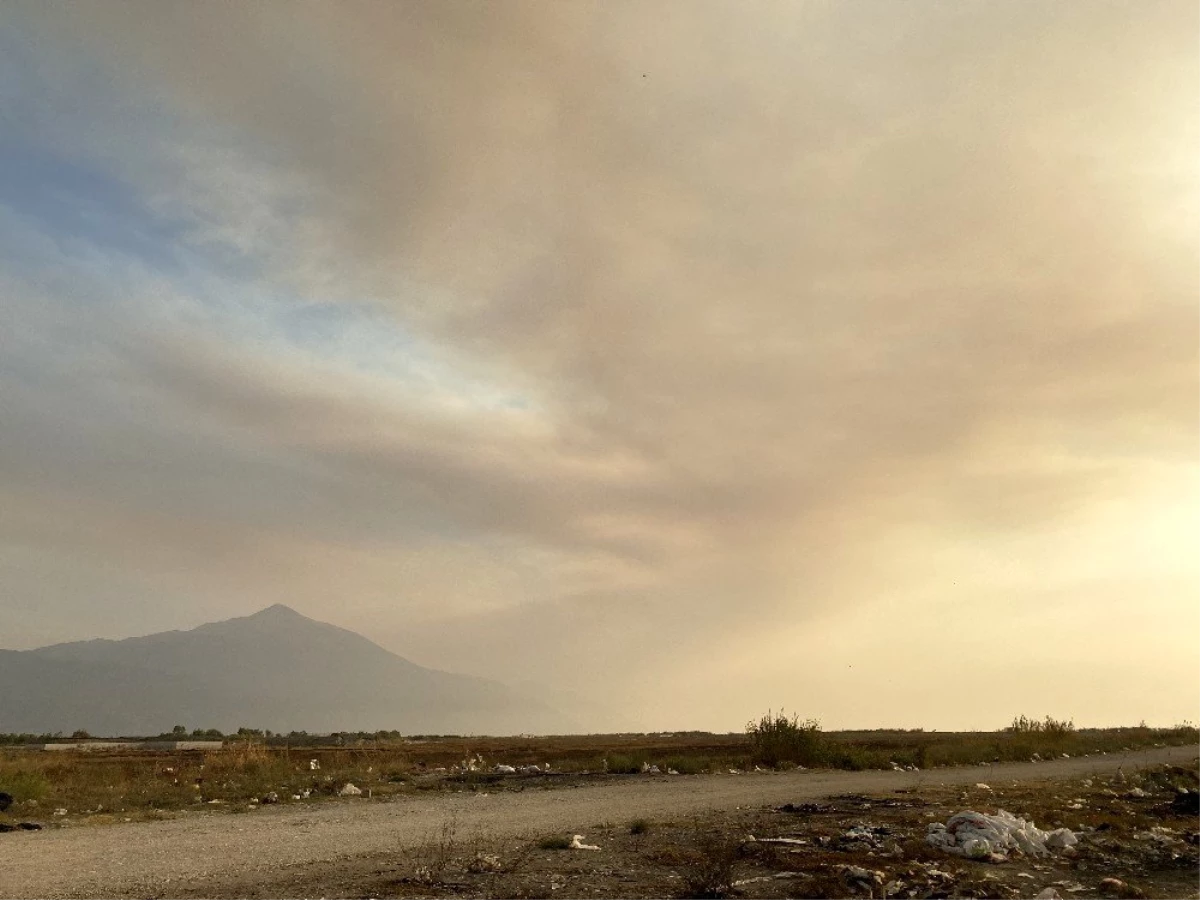 Suriye\'deki orman yangınında Samandağ\'ı duman kapladı