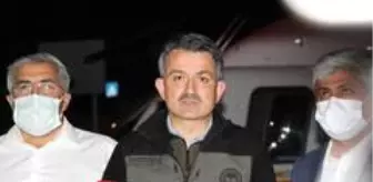 Tarım ve Orman Bakanı Pakdemirli: 'Hatay yangını kontrol altına alındı'