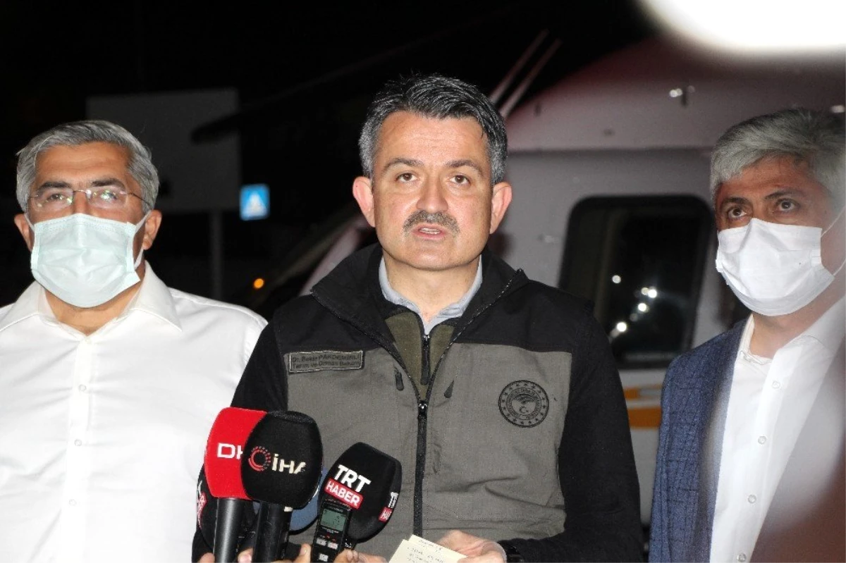 Tarım ve Orman Bakanı Pakdemirli: "Hatay yangını kontrol altına alındı"