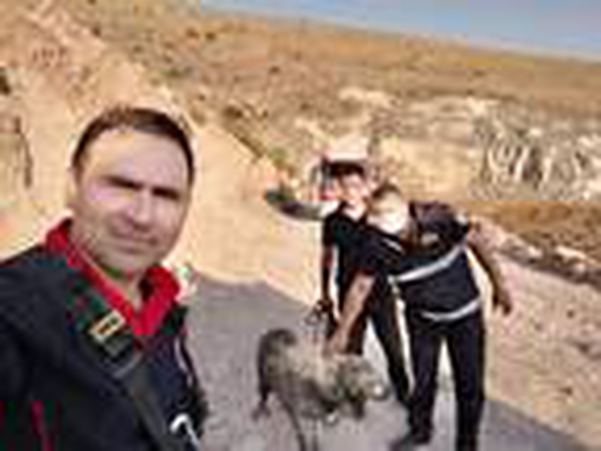 Son dakika haberi... Bataklığa saplanan köpeği itfaiye kurtardı