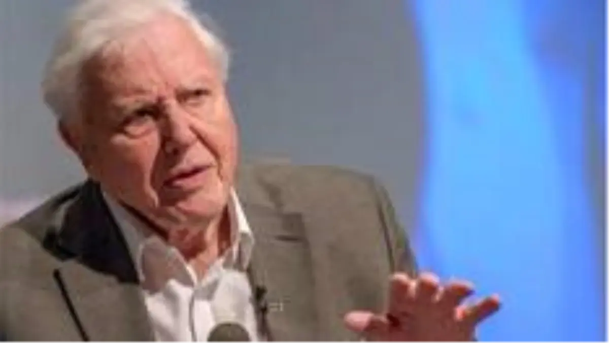 David Attenborough: Kapitalist sistemin aşırılıkları dizginlenmeli