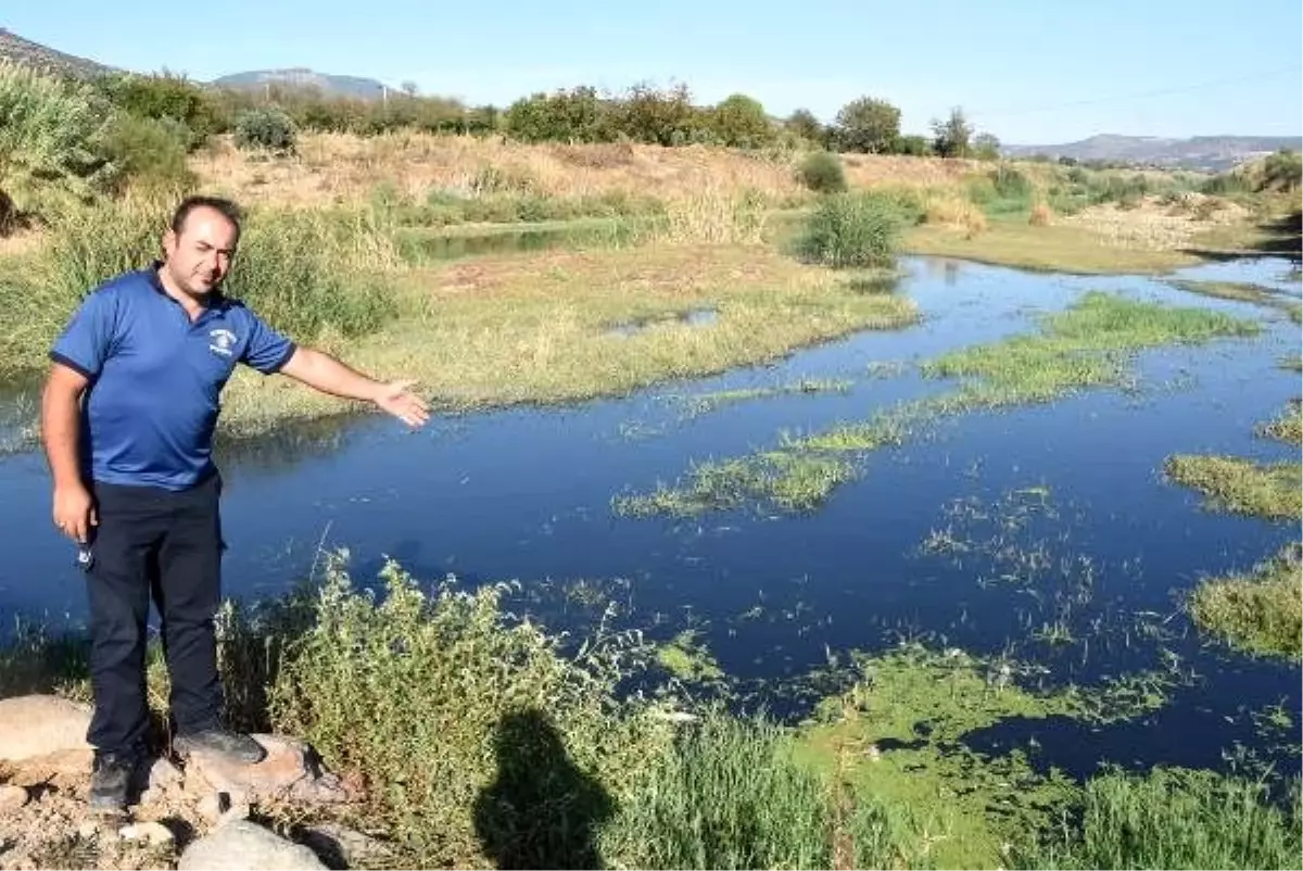 Gediz Nehri\'ndeki kirlilik ve kokuya tepki