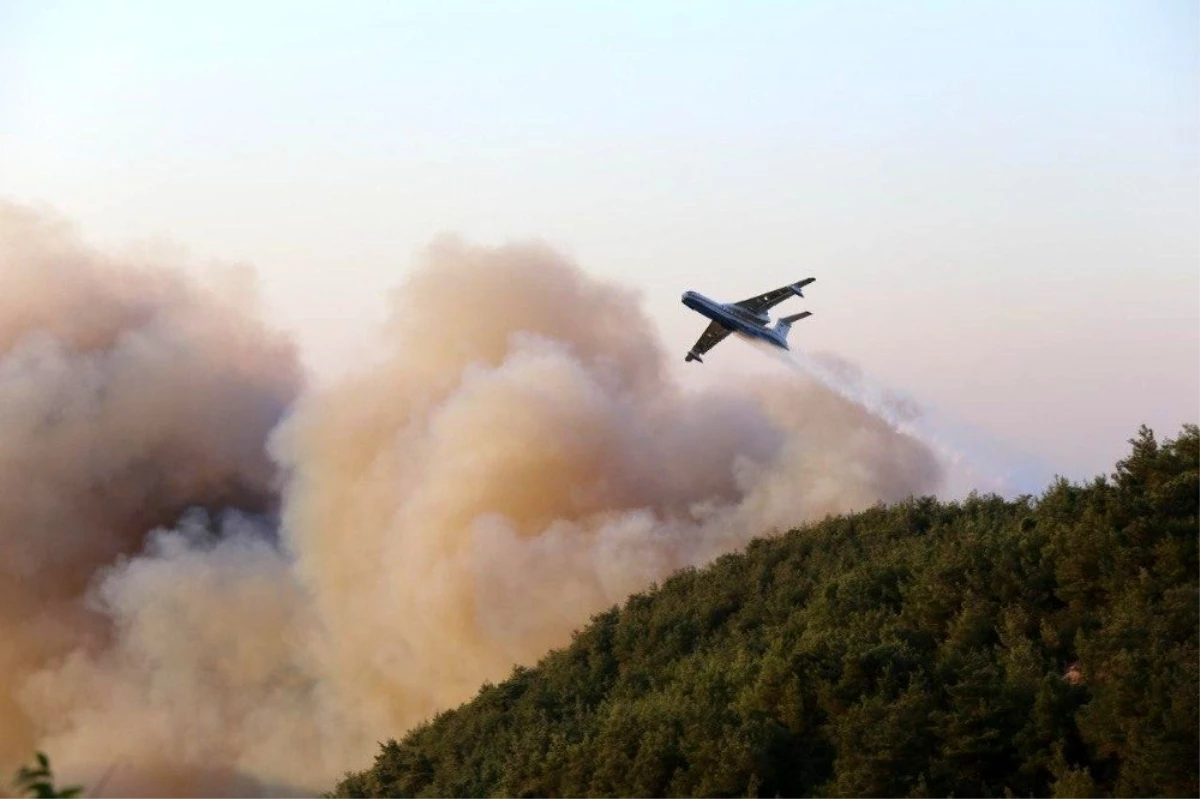 Son dakika haber | Hatay\'daki orman yangınında 300 hektar alan zarar gördü