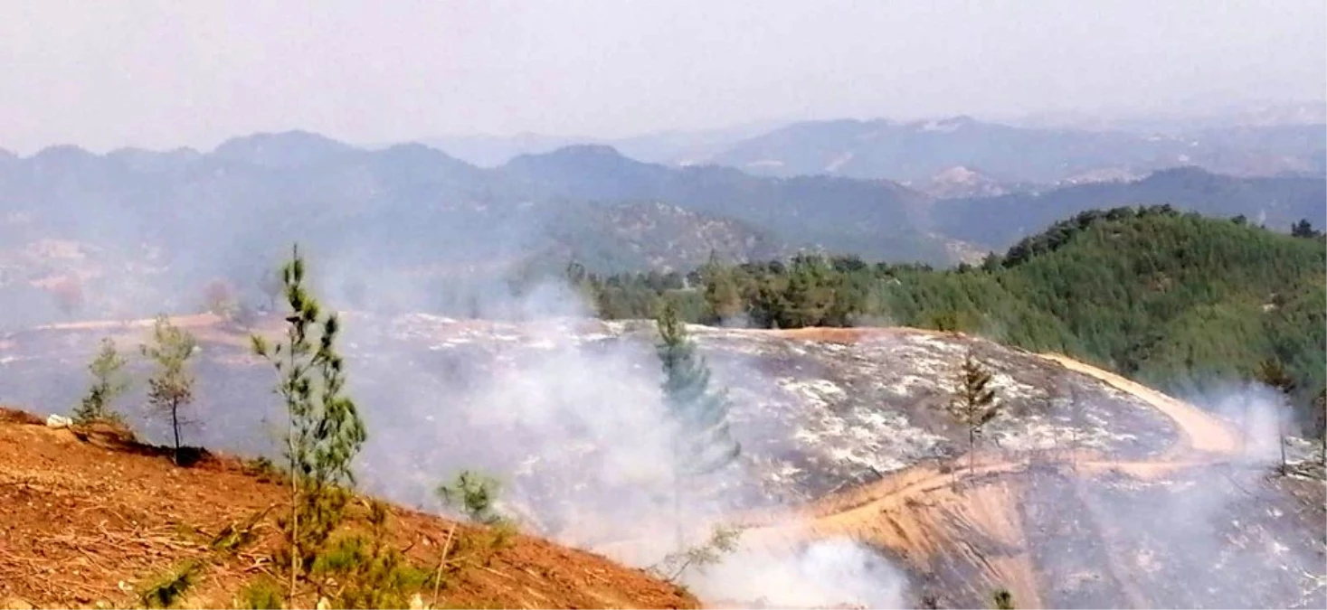 Kahramanmaraş\'taki yangınlarda 65 hektar orman alanı zarar gördü