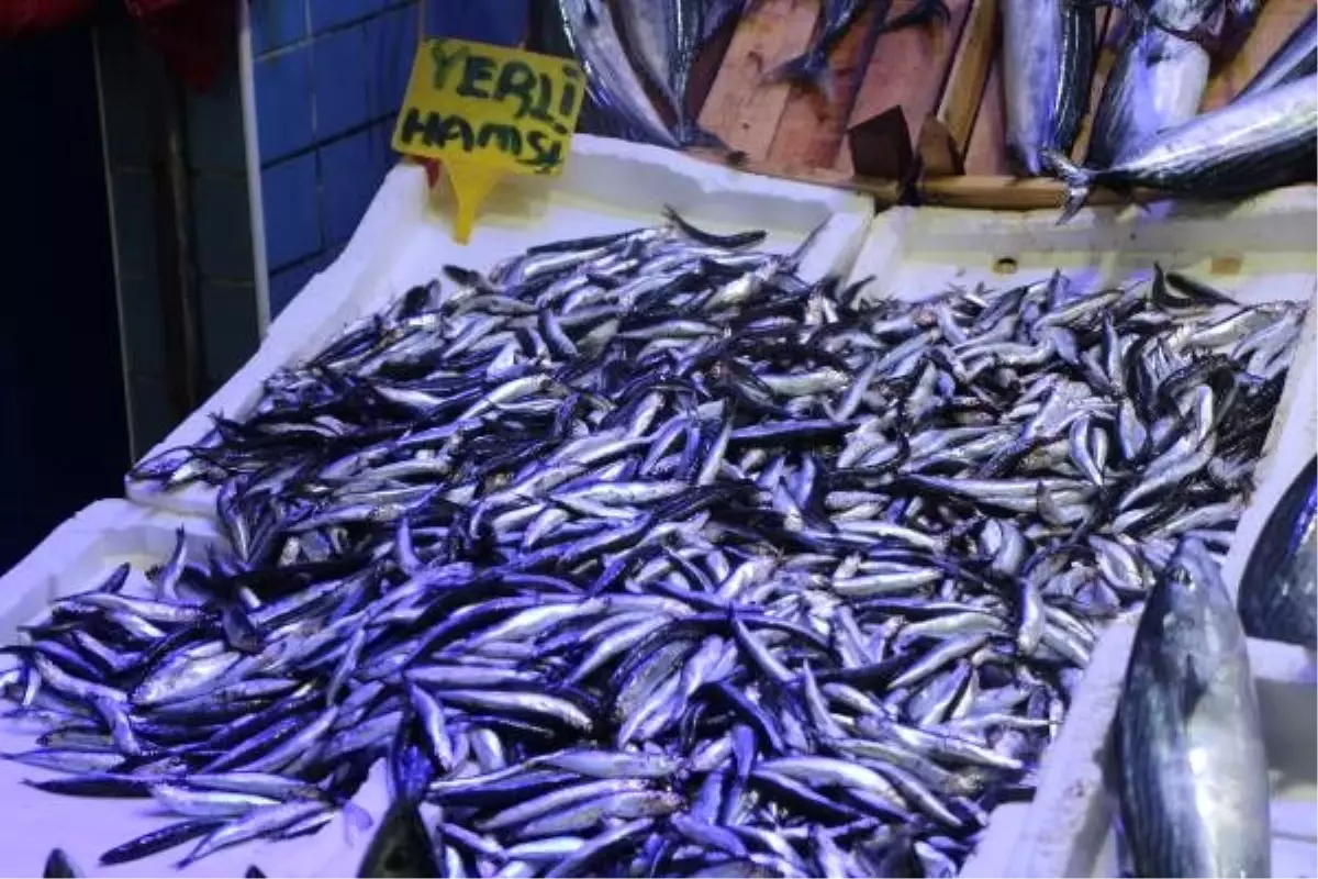 Karadeniz\'de hamsi için denizin soğuması bekleniyor