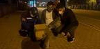 Otomobil çarpan kediyi ölmekten kurtardılar