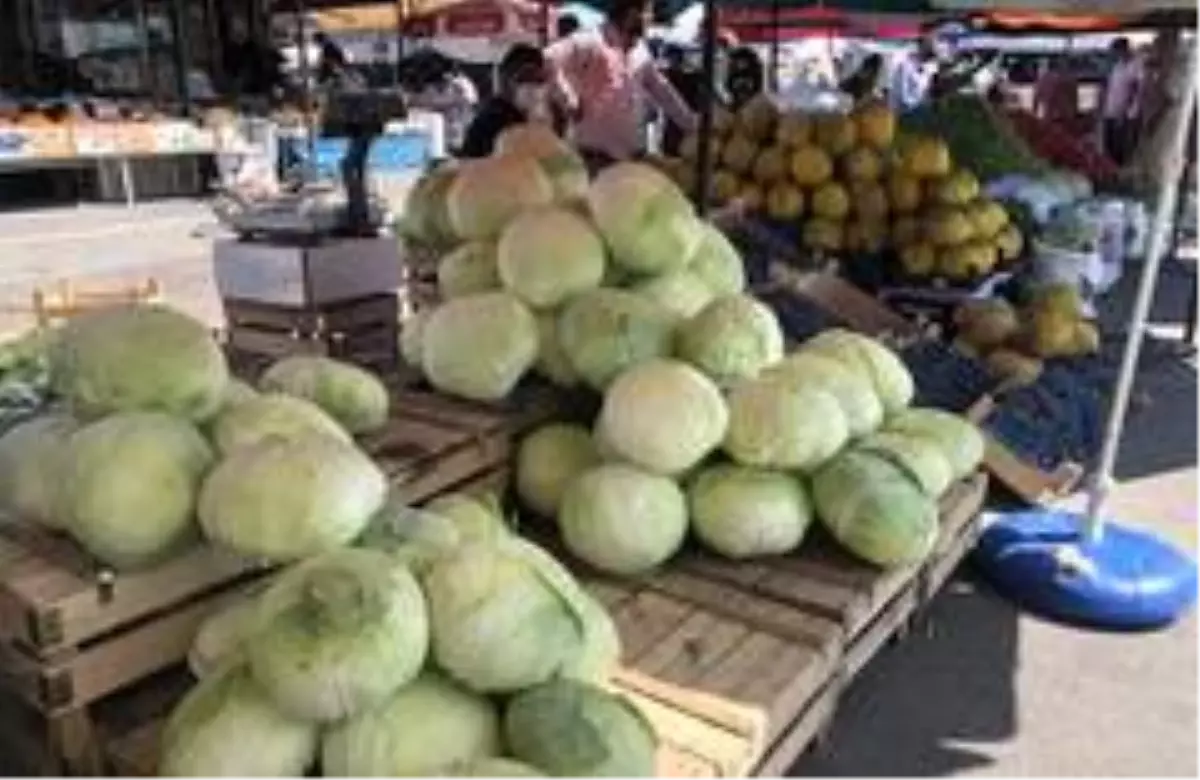 Özlenen kış sebzeleri pazardaki yerlerini alıyor
