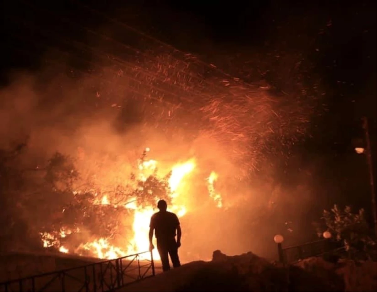 Suriye\'deki orman yangını kontrol altına alındı