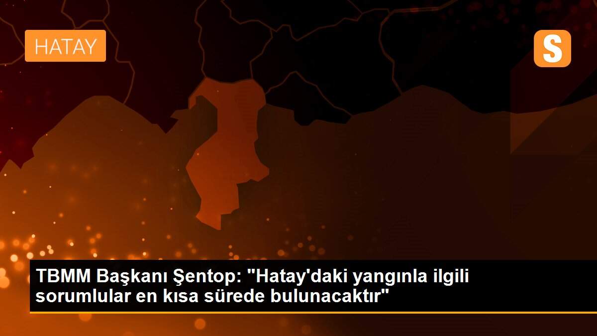 Son dakika haberi! TBMM Başkanı Şentop: "Sorumlular en kısa sürede bulunacaktır"