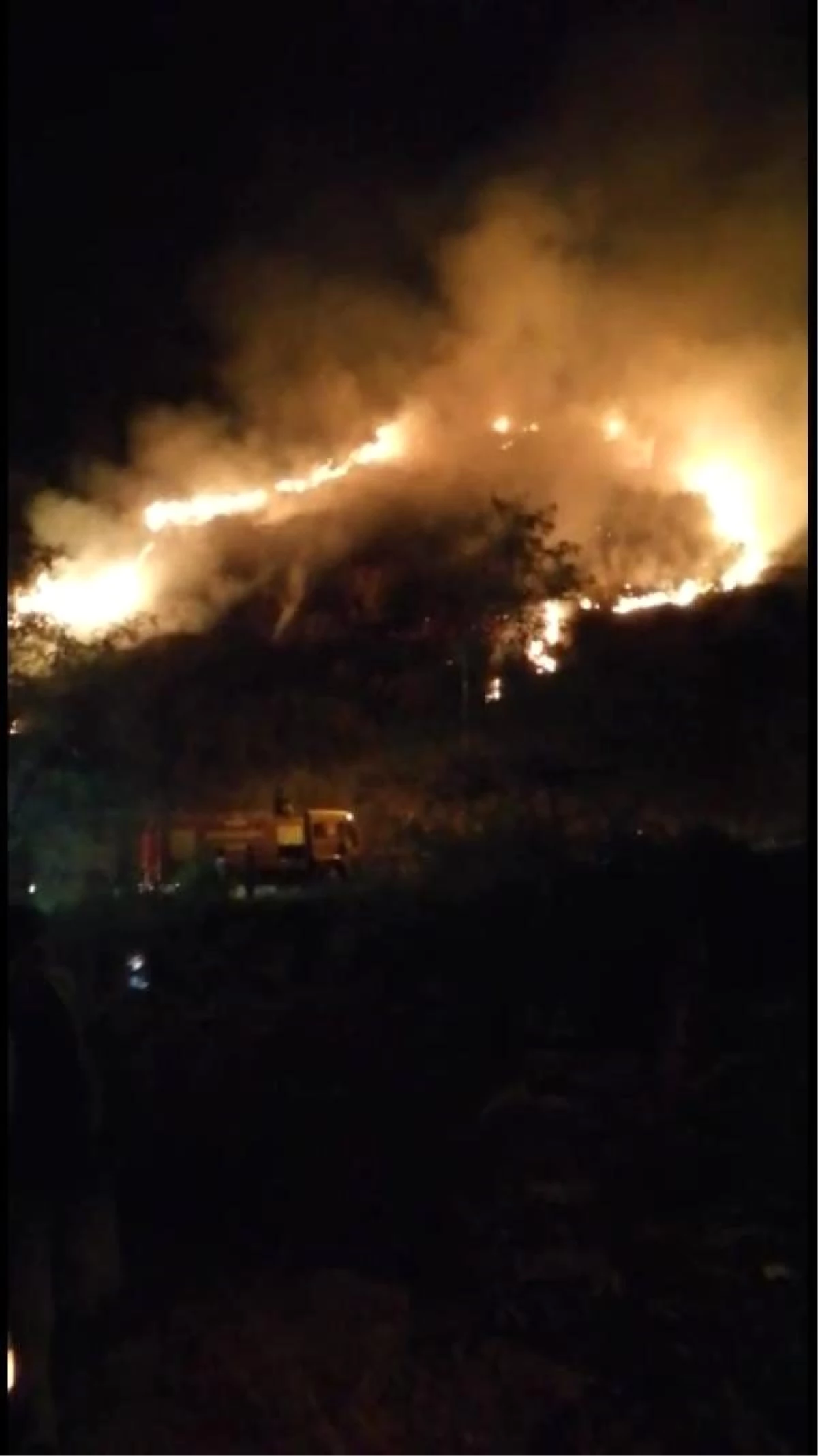 Trabzon\'da örtü yangını