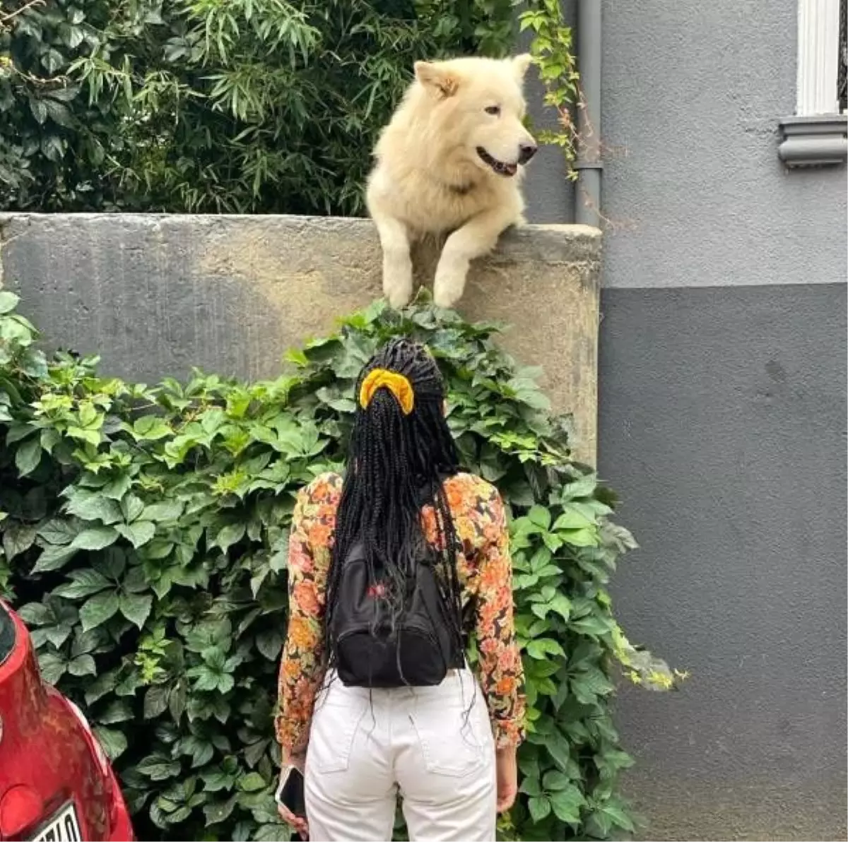 ROCKY\'İN ÜNÜ DÜNYAYA YAYILDI; AMERİKALI ŞARKICI HALSEY FOTOĞRAFINI PAYLAŞTI