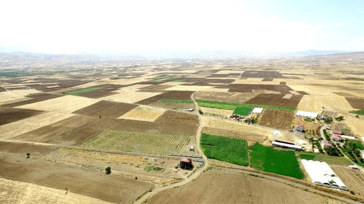 Elazığ\'da yüzde 41\'lik arazi birleştirilmesi sağlandı