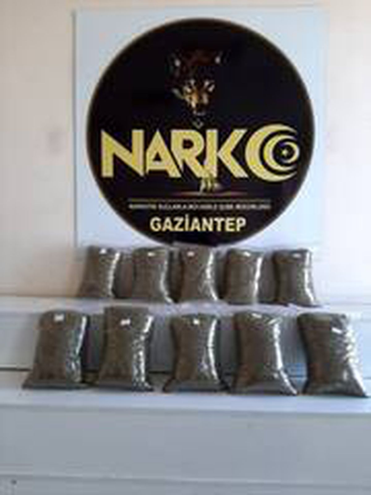 Gaziantep\'te 10 kilo bonzai yakalandı