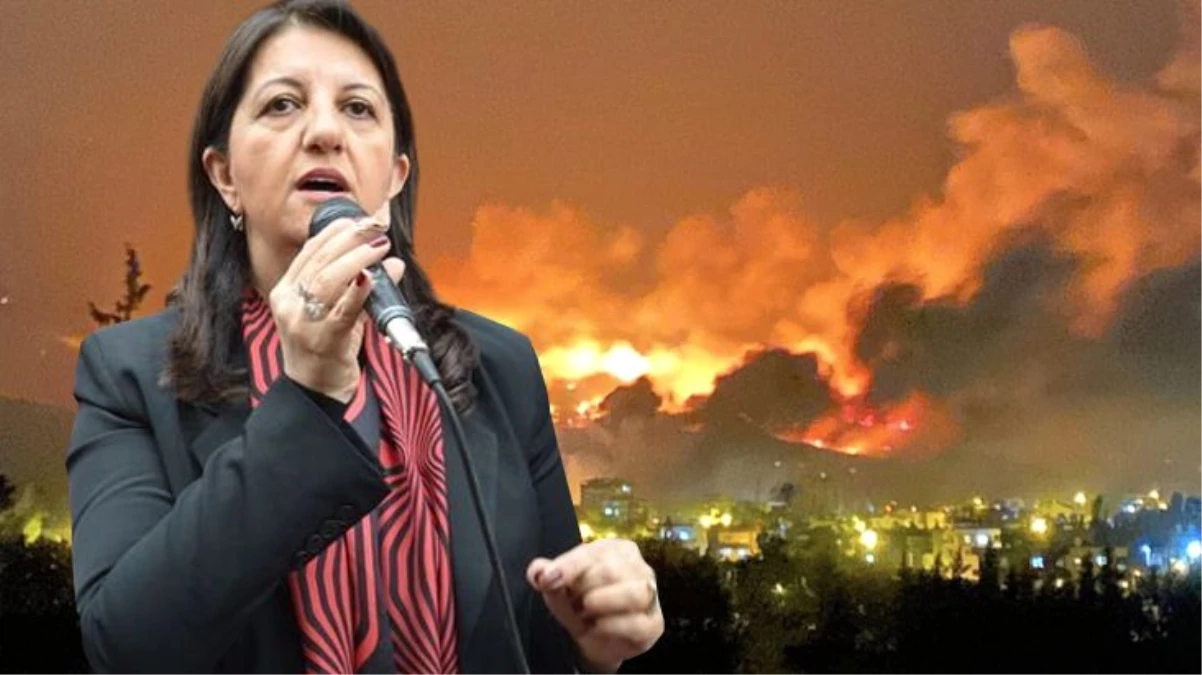 Hatay\'daki yangınlarla ilgili HDP\'den dikkat çeken çıkış: Lanetliyoruz