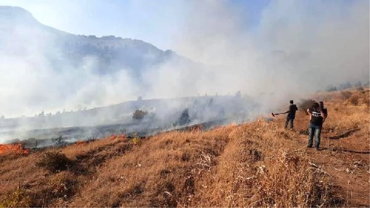 Son dakika haberleri: DHA YURT BÜLTENİ - 21