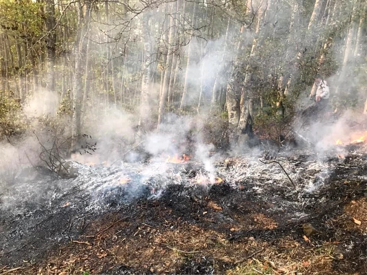 Ormanda çıkan yangına müdahale eden bir kişi, yanarak hayatını kaybetti