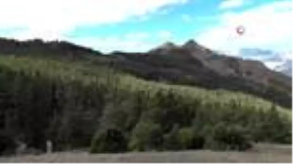 Ormanağzı ve Dutlu köyleri endemik bitki zengini