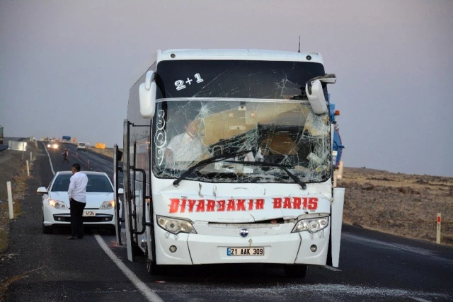 Şanlıurfa'da yolcu otobüsü ile tır çarpıştı: 1 yaralı