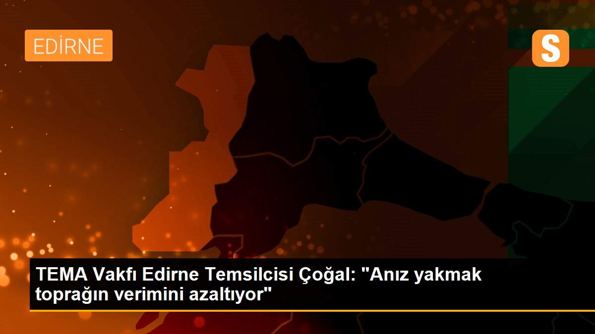 TEMA Vakfı Edirne Temsilcisi Çoğal: "Anız yakmak toprağın verimini azaltıyor"