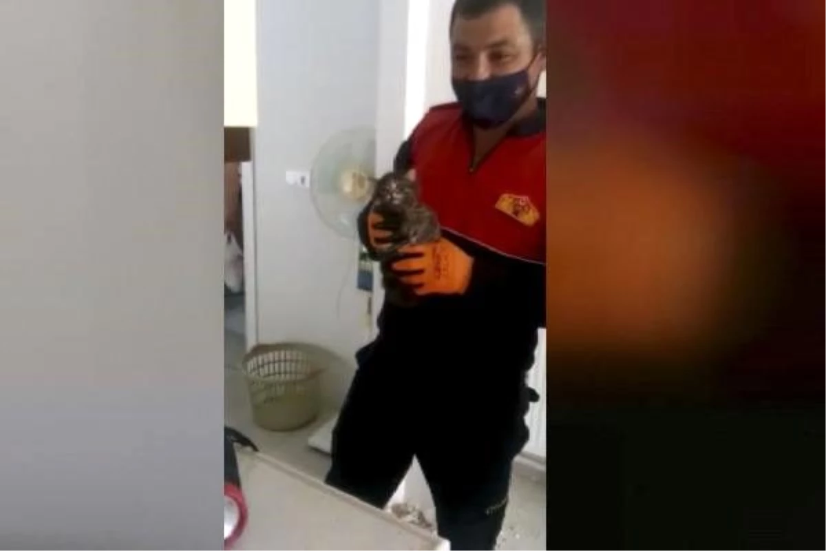 Apartman bacasına düşen yavru kediyi itfaiye kurtardı