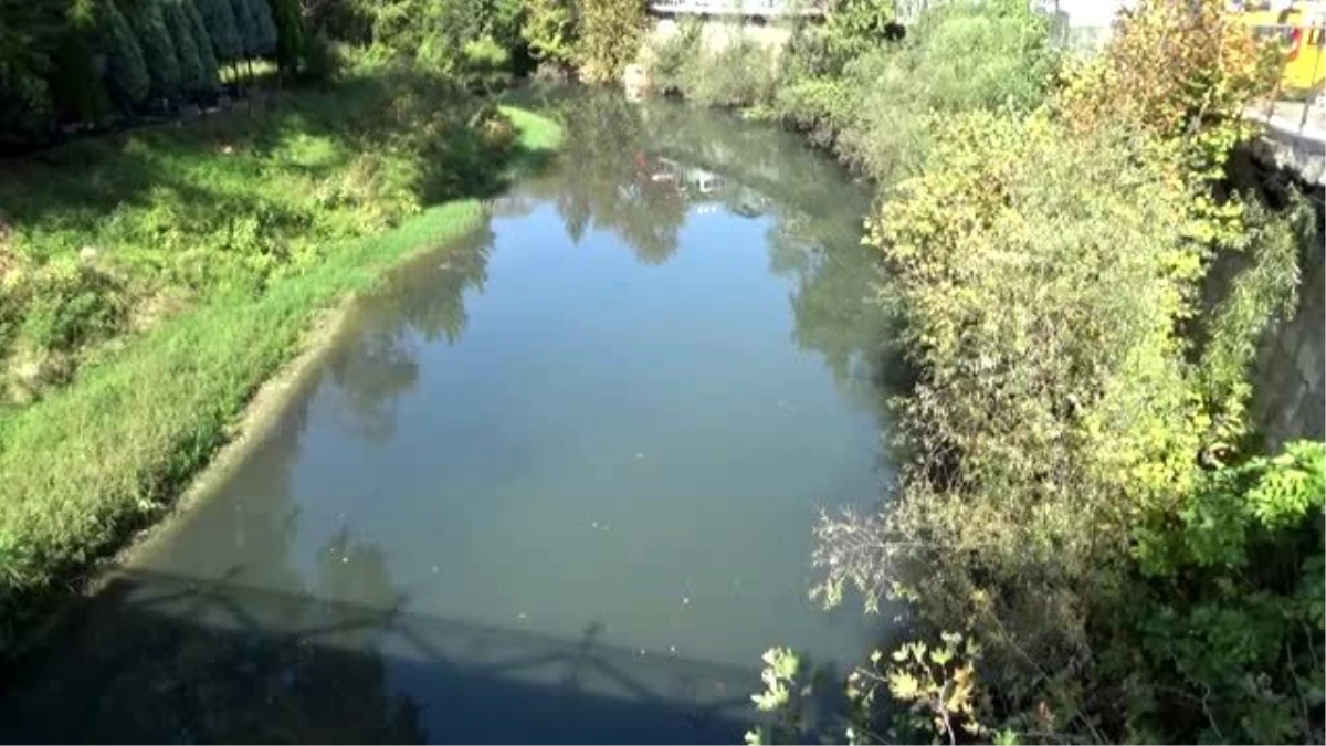 Bartın ırmağında azalan su miktarı kirliliğe ve kokuya neden oldu