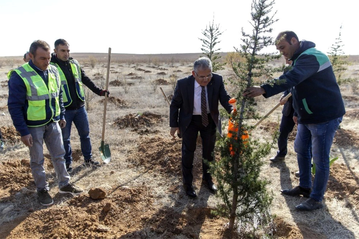 Kayseri Büyükşehir Belediyesi yanan ormanlara 38 bin fidan desteği verecek