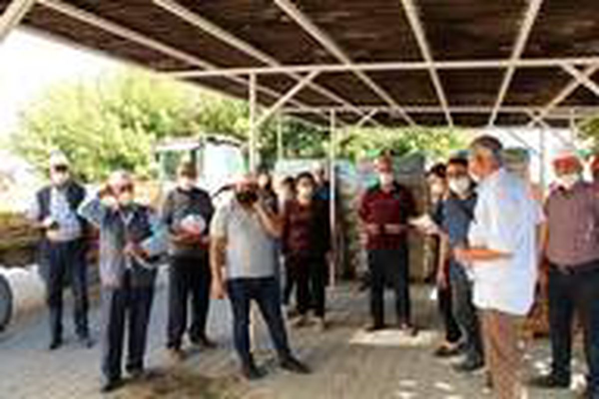Çiftçilere 108 ton tohumluk buğday desteği