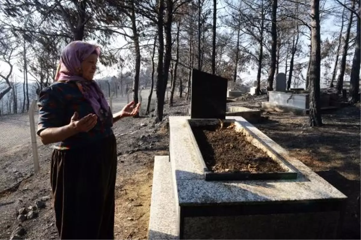 Son dakika haber! Hatay\'daki orman yangınında mezarlıklar da zarar gördü