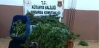 'Mola' ile aramada evde uyuşturucu bulundu