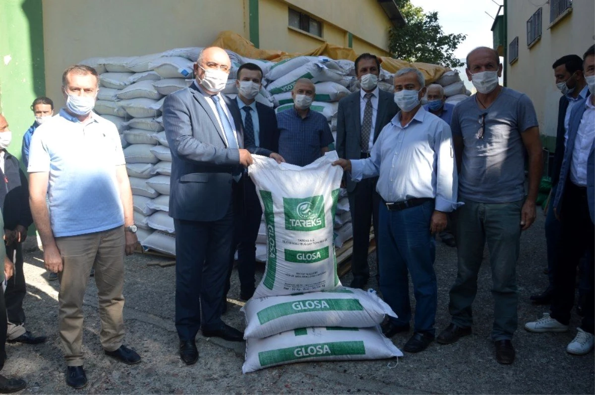 Niksar\'da 350 çiftçiye sertifikalı tohum dağıtıldı