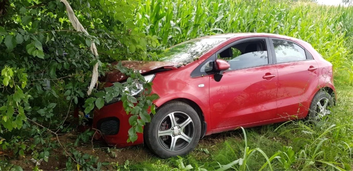 Ot biçerken otomobilin çarptığı kişi, 3 aylık yaşam mücadelesini kaybetti