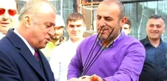 Selahattin Aydoğdu ile olan davasında Terim'den çarpıcı ifade: Damatlarım değil, ben tokatladım