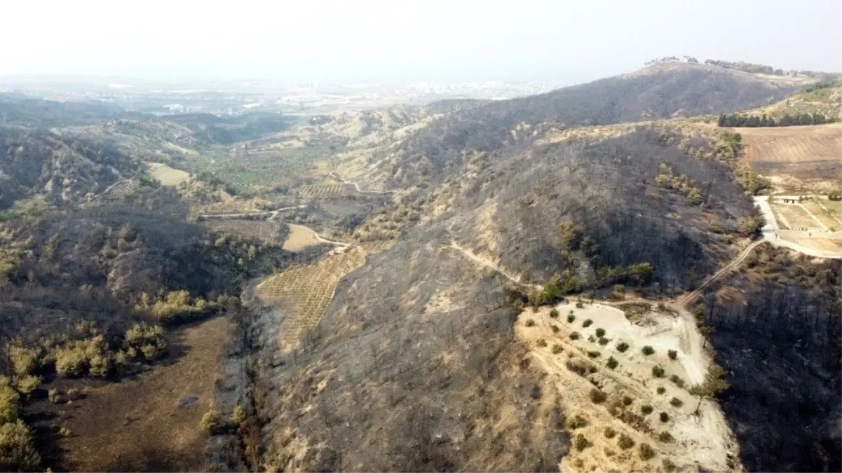 TÜSİKON Hatay için seferber oldu