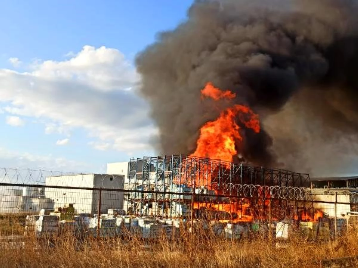 Ayvalık\'ta yağ fabrikasında yangın