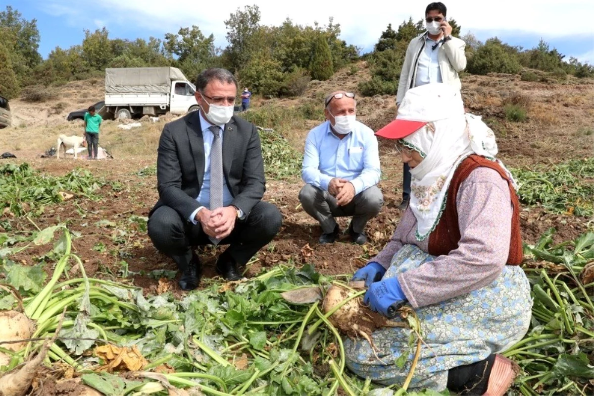 Çiftçi ile gönül bağı kuran Vali Balcı pancar çiftçisi ile buluştu