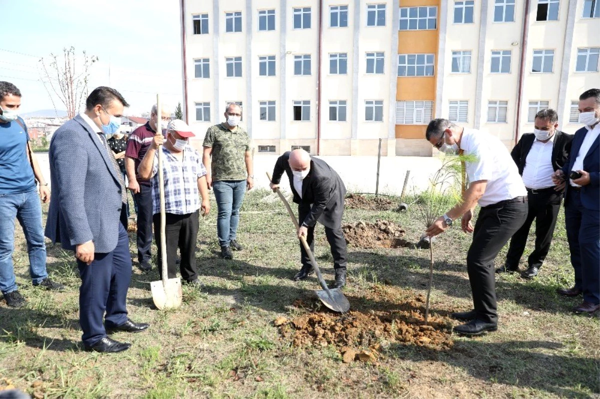 Darıca\'da okul bahçelerine fidan dikiliyor