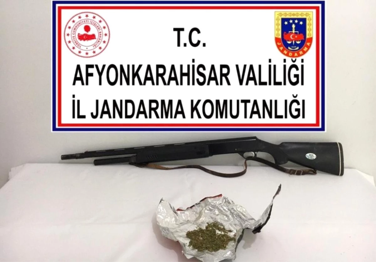 Yetiştirdiği kenevirleri satamadan jandarmaya yakalandı