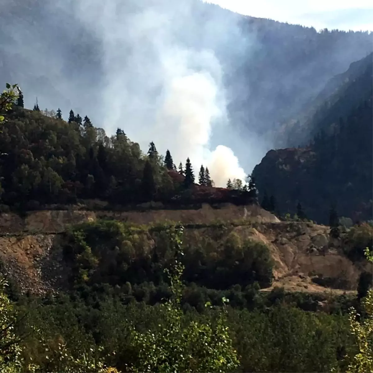 Artvin\'in Murgul ilçesinde örtü yangını