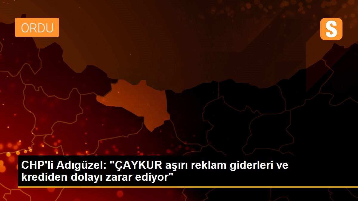 CHP\'li Adıgüzel: "ÇAYKUR aşırı reklam giderleri ve krediden dolayı zarar ediyor"