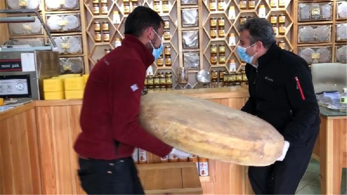 Kars\'ta 2,5 ton sütten üretilen 100 kiloluk dev gravyer peyniri satışa çıktı