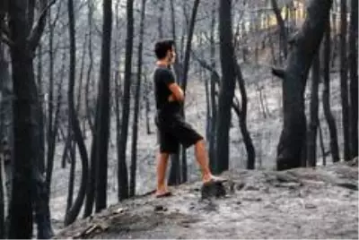 Evleri yanan vatandaşlar destek bekliyor