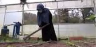 Kadın çiftçi serasında yetiştirdiği ürünlerle ekonomiye katkı sağlıyor