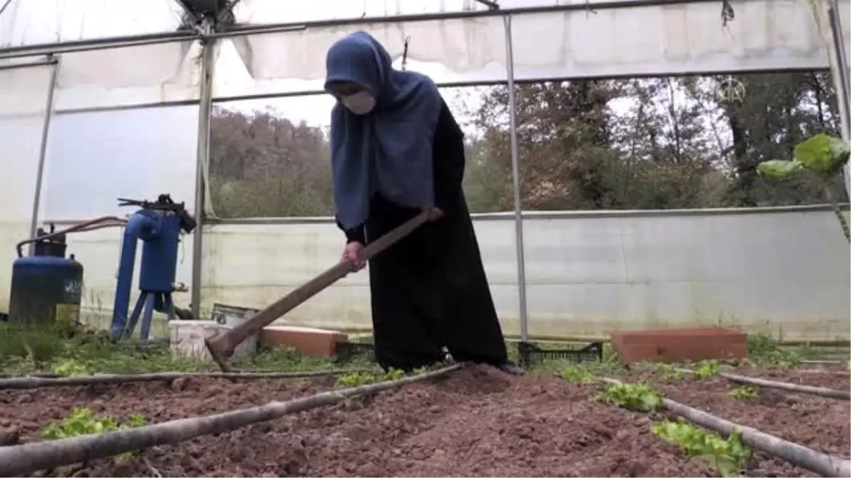 Kadın çiftçi serasında yetiştirdiği ürünlerle ekonomiye katkı sağlıyor